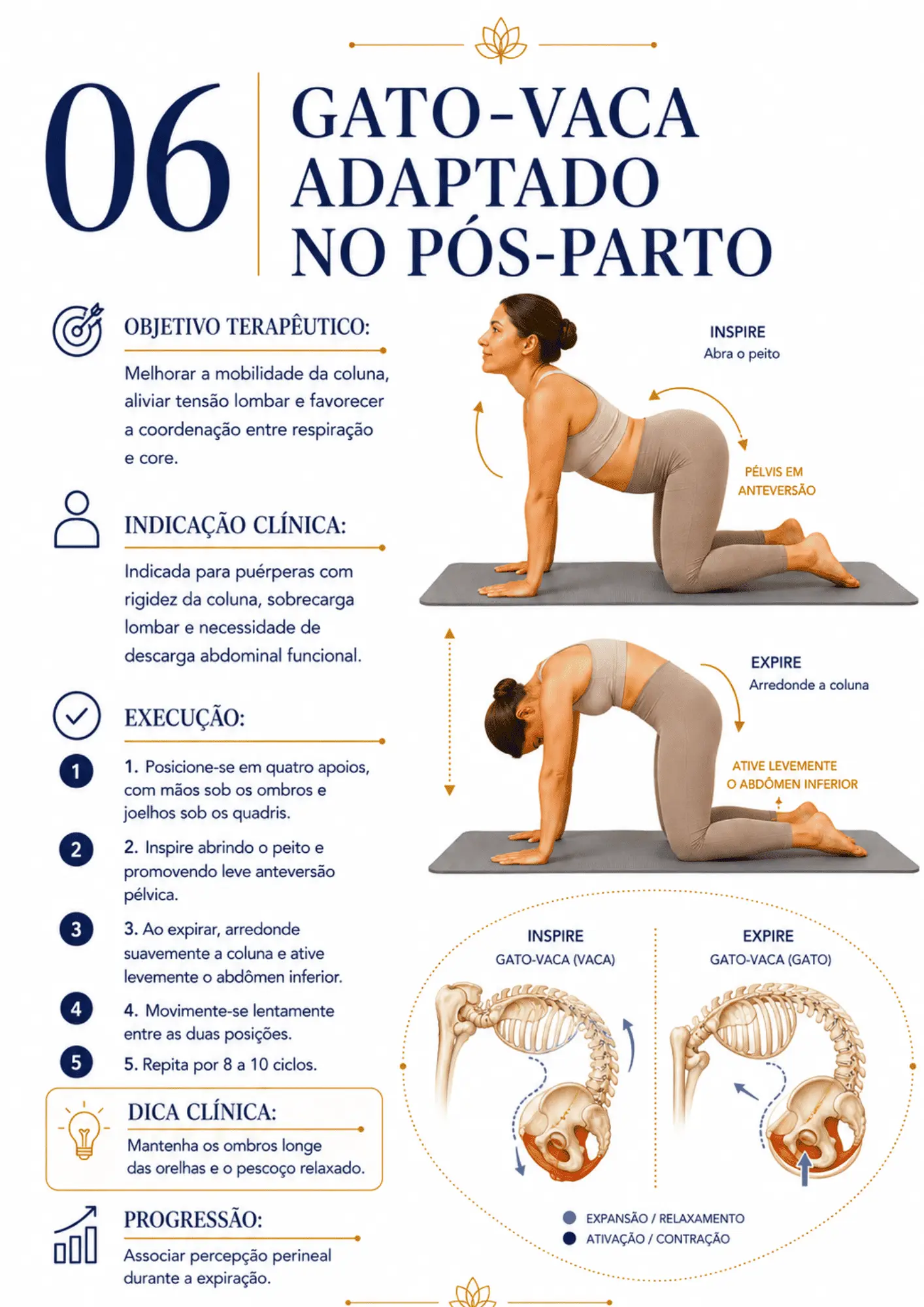 Gato-Vaca Adaptado no Pós-Parto